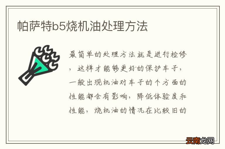 帕萨特b5烧机油处理方法