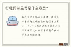 行程码带星号是什么意思？