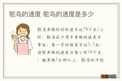 鸵鸟的速度 鸵鸟的速度是多少