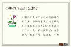 小鹏汽车是什么牌子