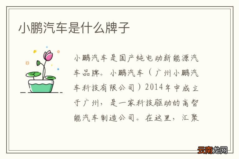 小鹏汽车是什么牌子