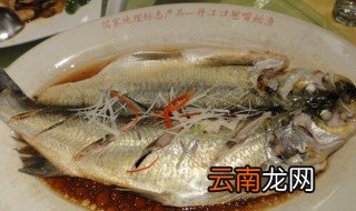 翘嘴鱼最佳做法 翘嘴鱼最合适的做法