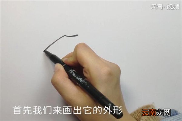 毛衣的画法