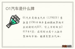 O1汽车是什么牌