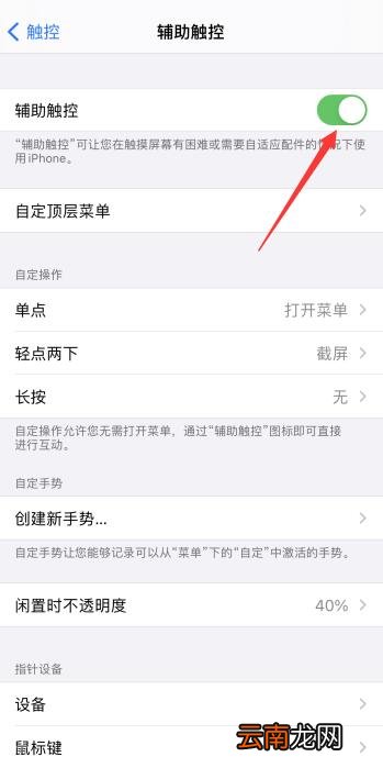 iPhone控制球怎么开