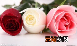 玫瑰花可以做成什么化妆品 玫瑰花化妆品有哪些