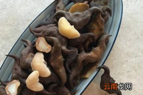 菱角是什么
