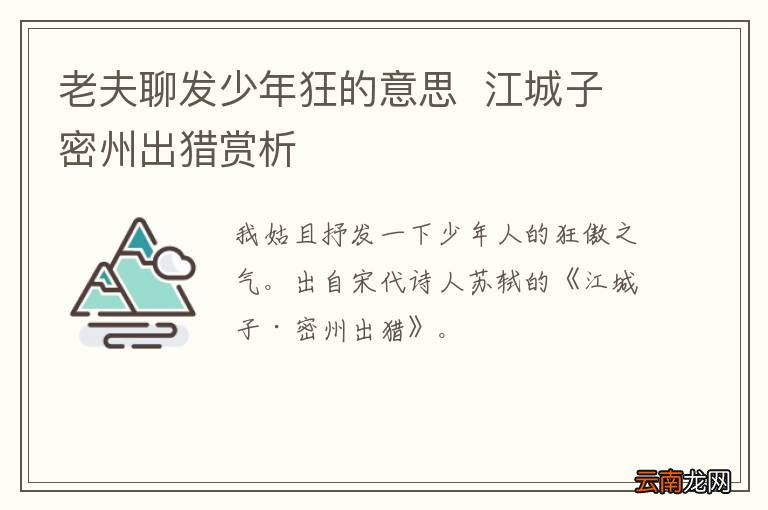 老夫聊发少年狂的意思江城子密州出猎赏析