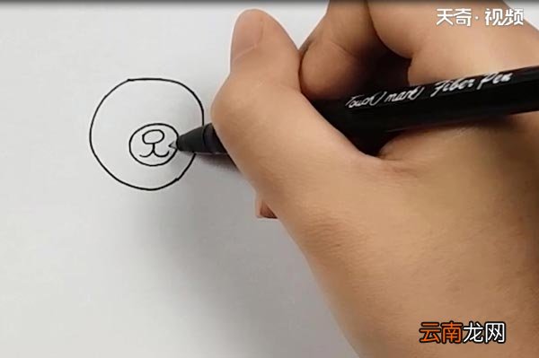 棕熊简笔画
