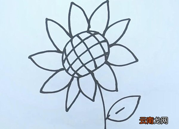 向日葵简笔画向日葵怎么画
