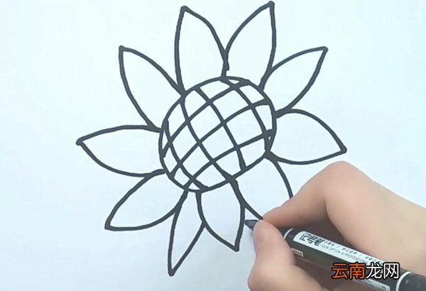 向日葵简笔画向日葵怎么画