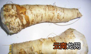 辣根介绍 形态特征