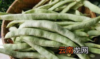 干白合怎么晒才白? 干白不老怎么晒干