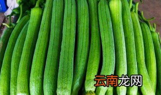 丝瓜皮干的晒法 晒干丝瓜皮怎么弄下去