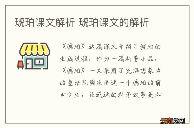 琥珀课文解析 琥珀课文的解析