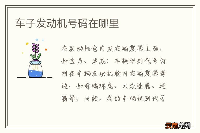 车子发动机号码在哪里
