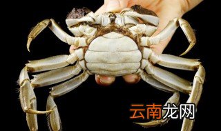 怎样看蟹有没有熟 蟹怎么看熟了没