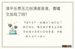 清平乐贾玉兰扮演者是谁，曹曦文加戏了吗？