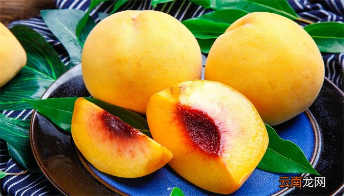 黄桃冷冻能保存多久 黄桃冷冻保存时间