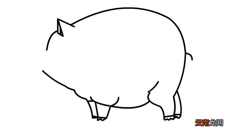 可爱的小粉猪简笔画