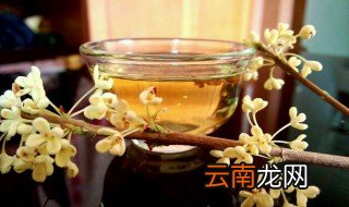 桂花酒十斤酒要多少干桂花 现在你知道了吗