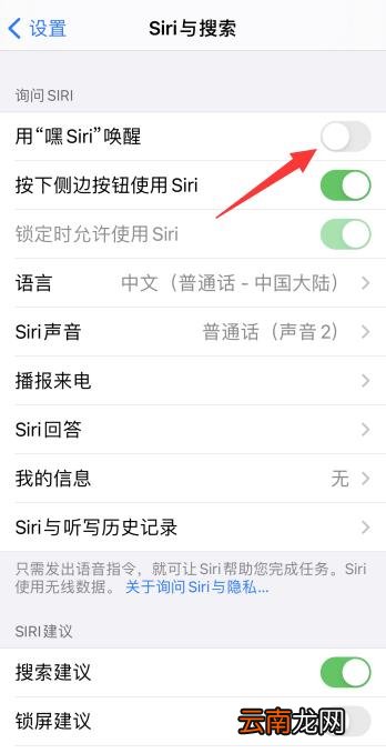 iPhonesiri语音录不进去