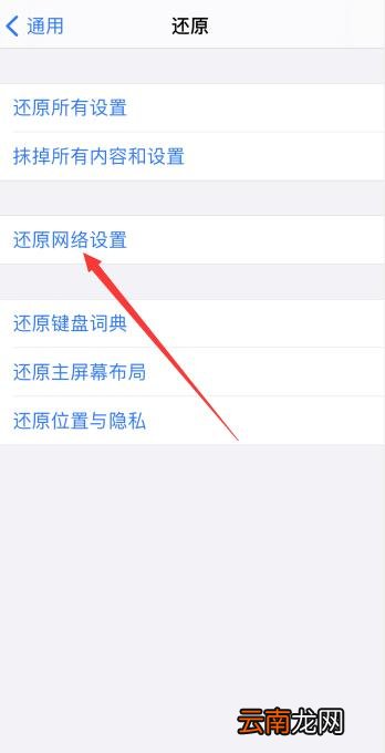 iPhone11连上wifi却不能上网