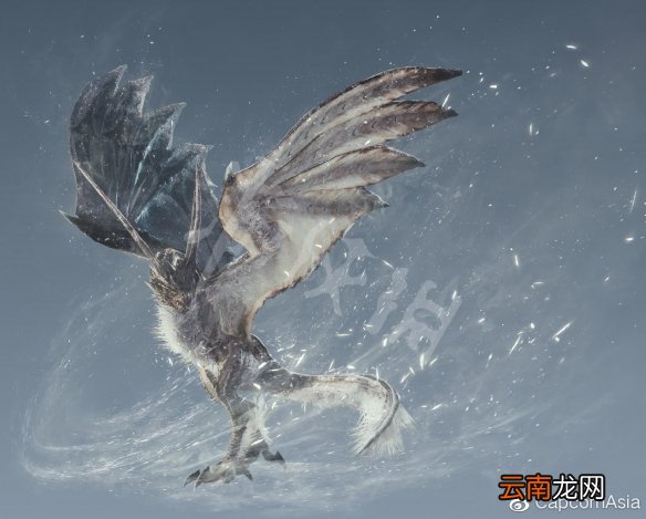 怪物猎人世界有轰龙吗 冰原轰龙+霜翼风漂龙简单介绍