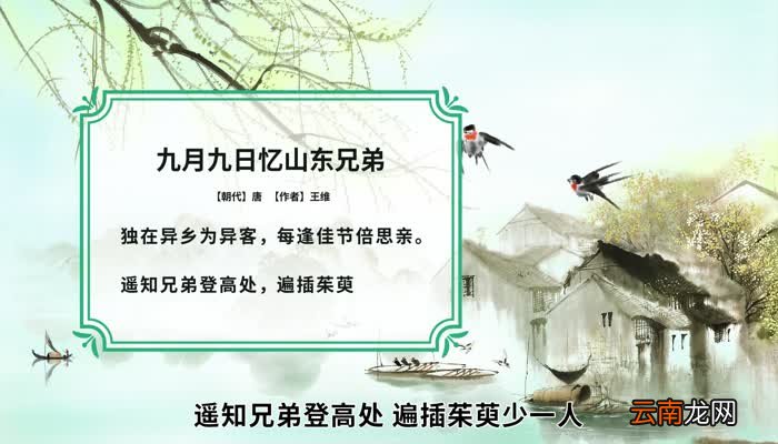 独在异乡为异客全诗文 独在异乡为异客全诗文是
