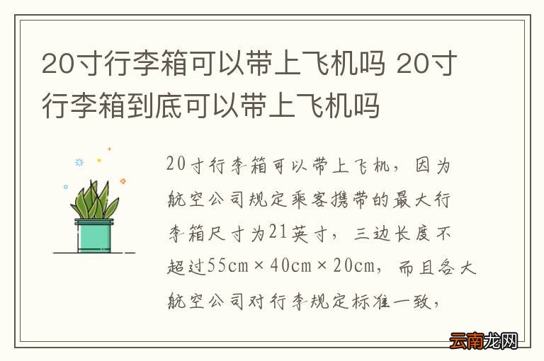 20寸行李箱可以带上飞机吗 20寸行李箱到底可以带上飞机吗