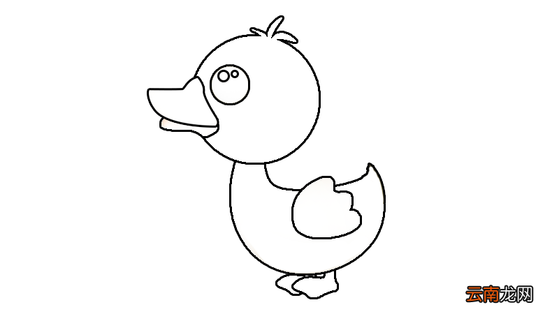 丑小鸭简笔画 画法