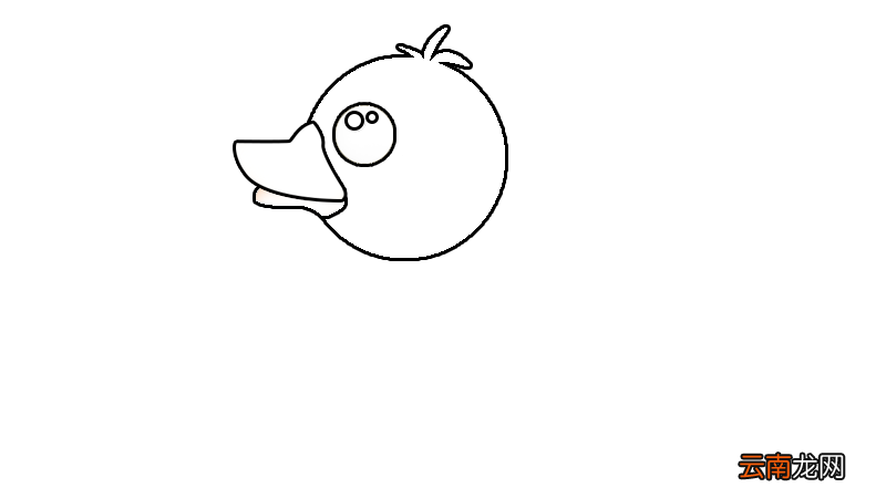 丑小鸭简笔画 画法