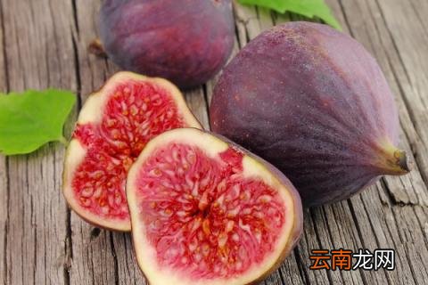 无花果的花在哪里