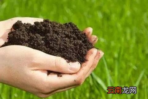 土壤疏松小窍门