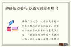 蟑螂怕蚊香吗 蚊香对蟑螂有用吗