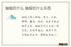 蚰蜒吃什么 蚰蜒吃什么东西
