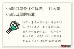 km95口罩是什么标准什么是km95口罩的标准