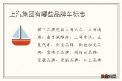 上汽集团有哪些品牌车标志