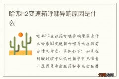哈弗h2变速箱呼啸异响原因是什么