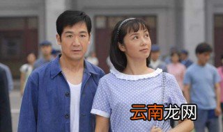 金婚演员表 关于这部电视剧的简介