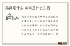 燕窝是什么 燕窝是什么东西