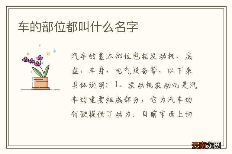 车的部位都叫什么名字