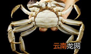 活螃蟹能放冰箱冷冻吗，活螃蟹可以放冰箱冷冻吗