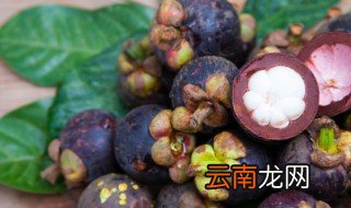 山竹是否要放冰箱 山竹需要放冰箱吗