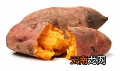 熟地瓜放冰箱冷藏可以吗 煮熟的地瓜能放冰箱吗