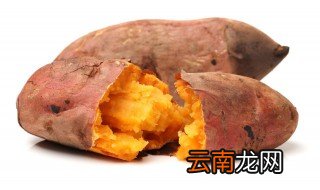 熟地瓜放冰箱冷藏可以吗 煮熟的地瓜能放冰箱吗