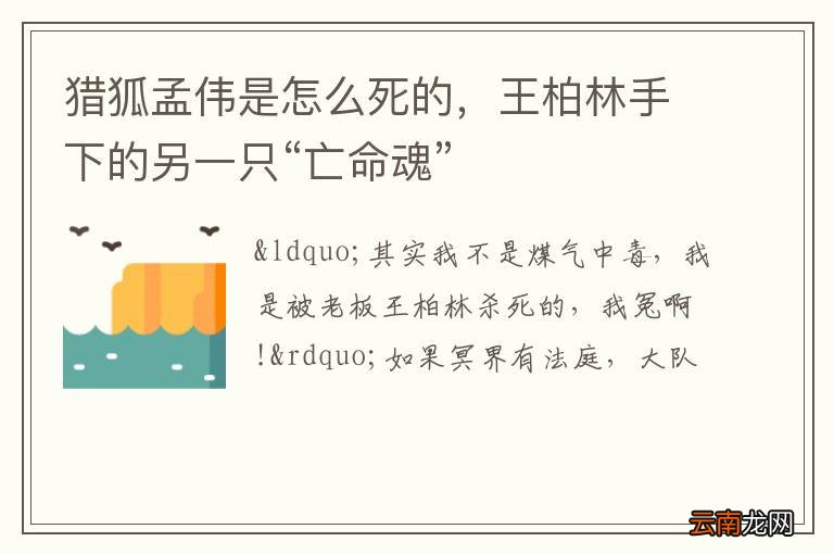猎狐孟伟是怎么死的，王柏林手下的另一只“亡命魂”