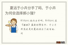 ? 夏远于小卉分手了吗，于小卉为何会选择郝小强？