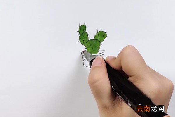 仙人掌图片简笔画