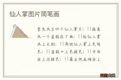 仙人掌图片简笔画